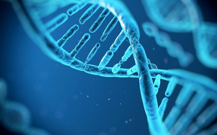 Beszélgetés a „háromszülős” gyermekről